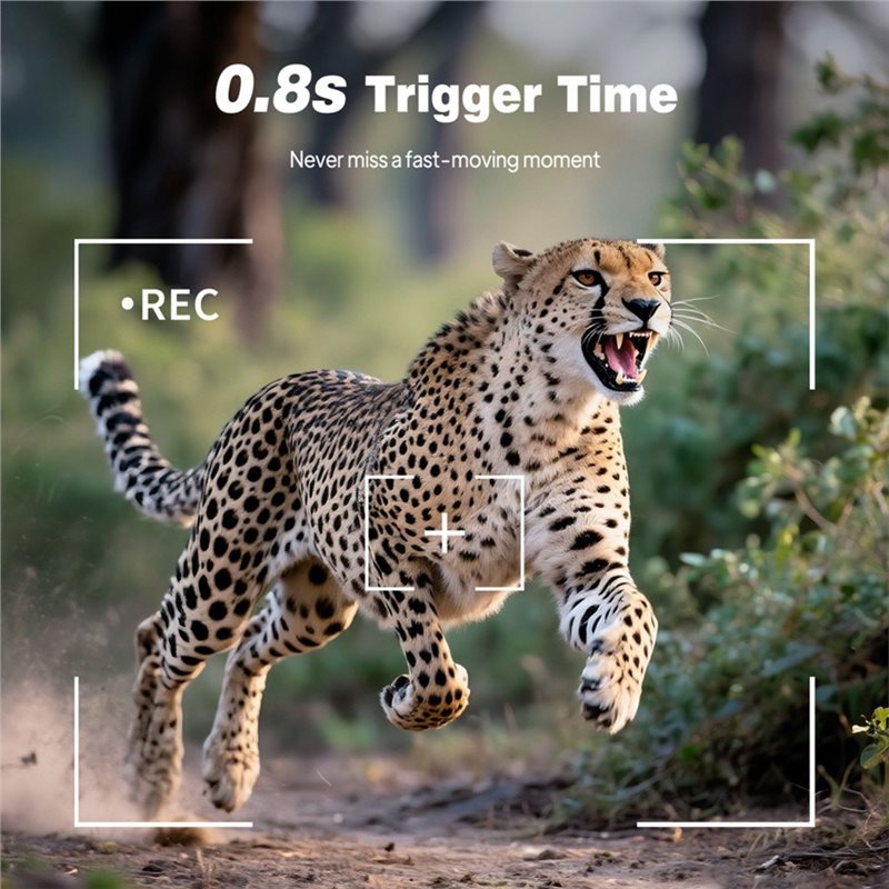 كاميرا صيد خارجية للمسارات بدق - مراجعة Trail Camera Infrared وسعره