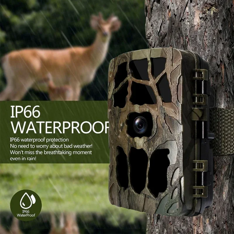 H982 IP66 مقاوم للماء 4K الأشع - مراجعة Trail Camera Infrared وسعره